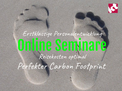 Geringe Reisekosten und viel Praxisbezug – unsere interaktiven Online Seminare