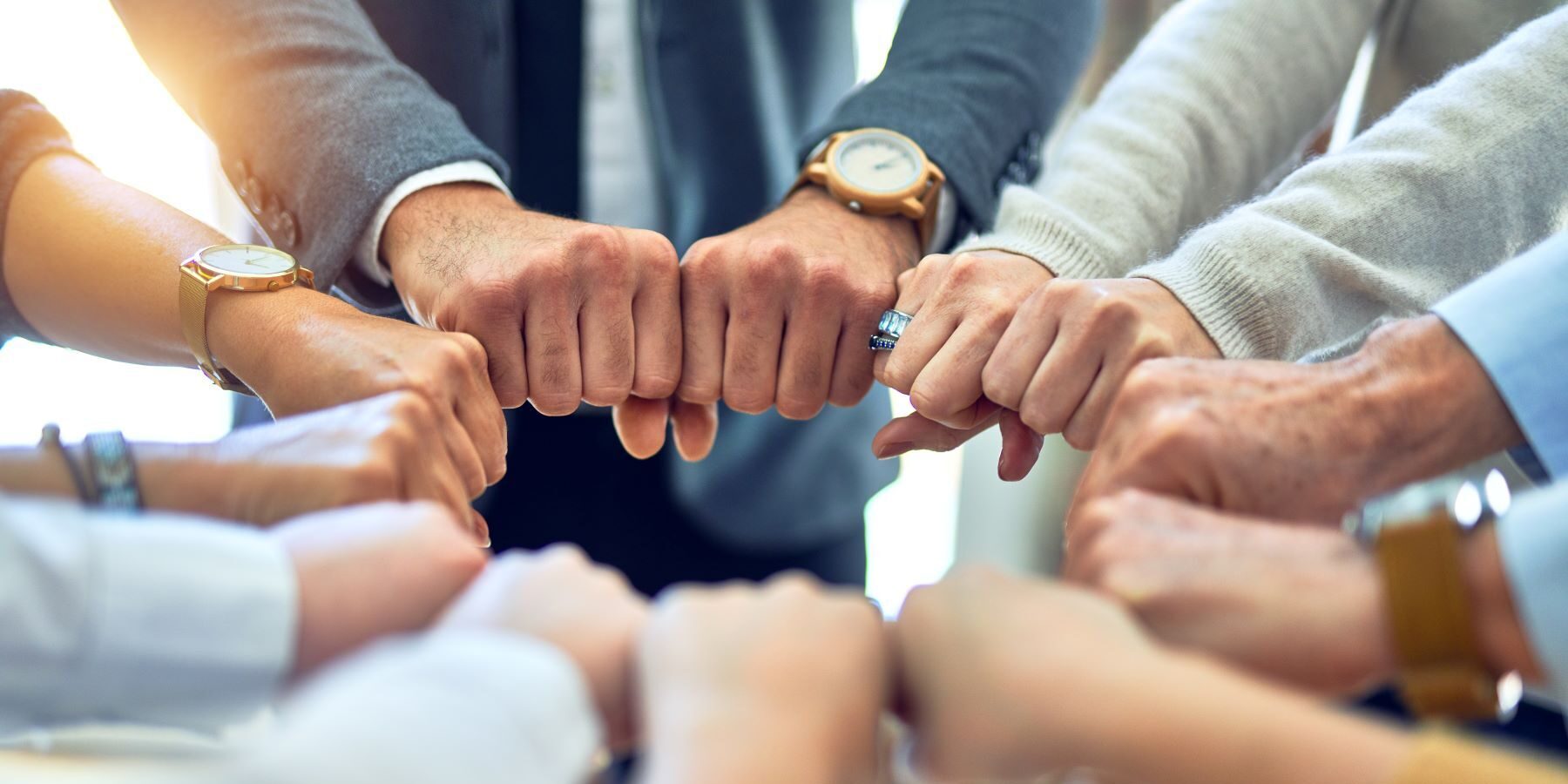 Unsere Trainer*innen überzeugen mit  Qualität, Herz und Bestnoten
