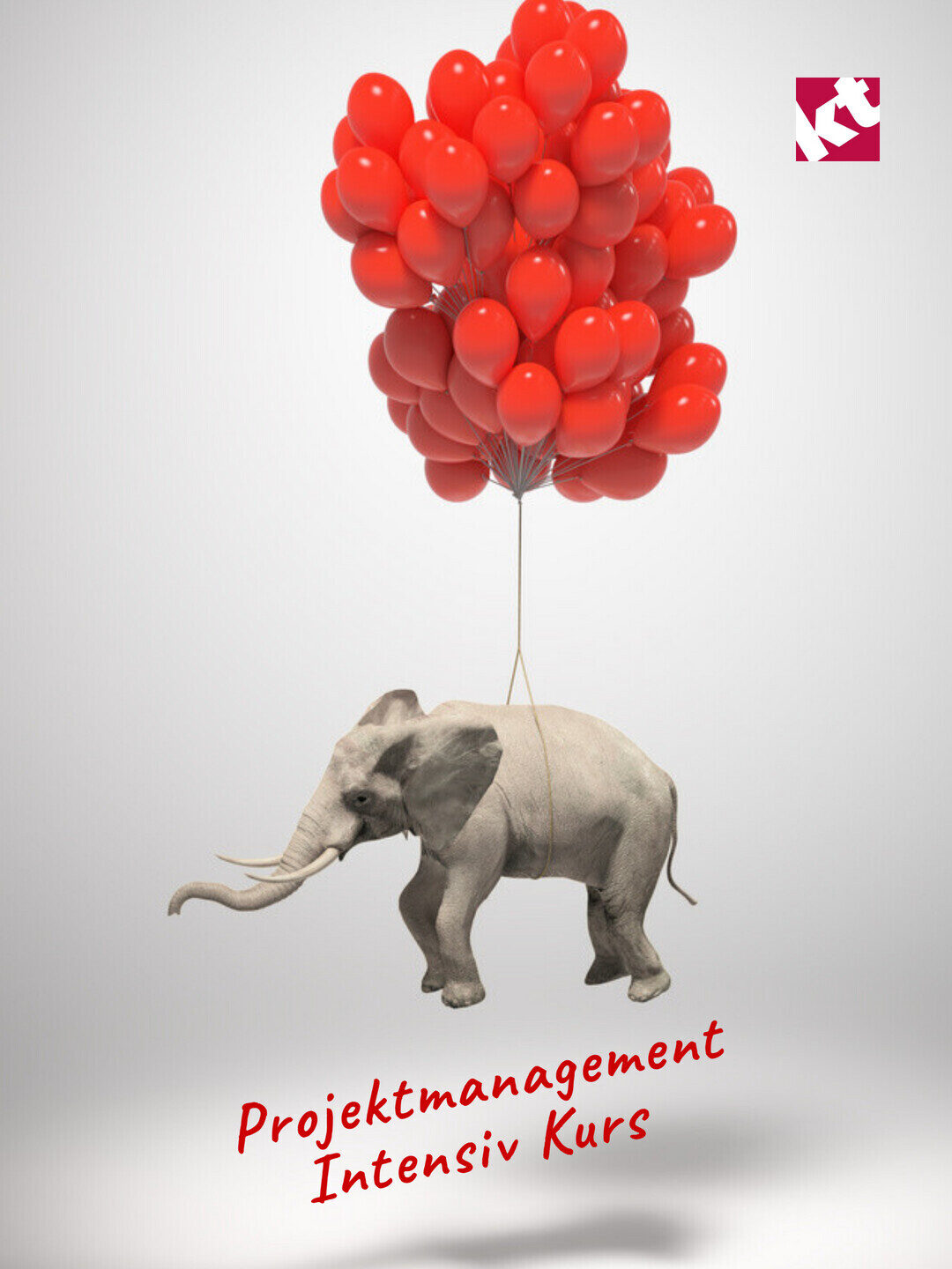 Projektmanagement Basiswissen Kurs in Hamburg im Juli 2026